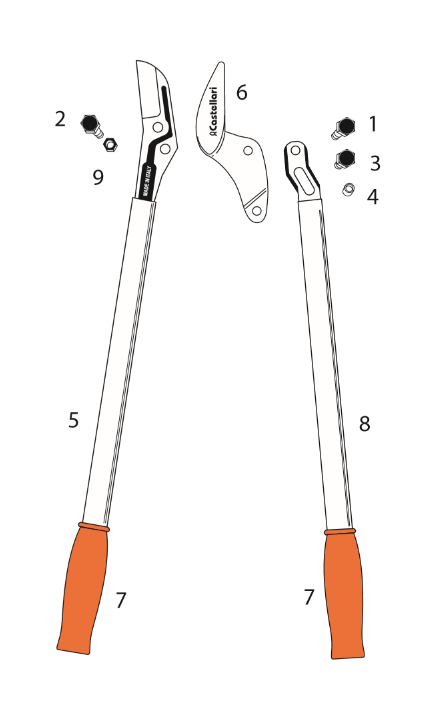tl
